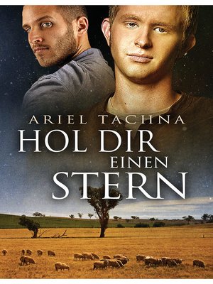 cover image of Hol Dir einen Stern